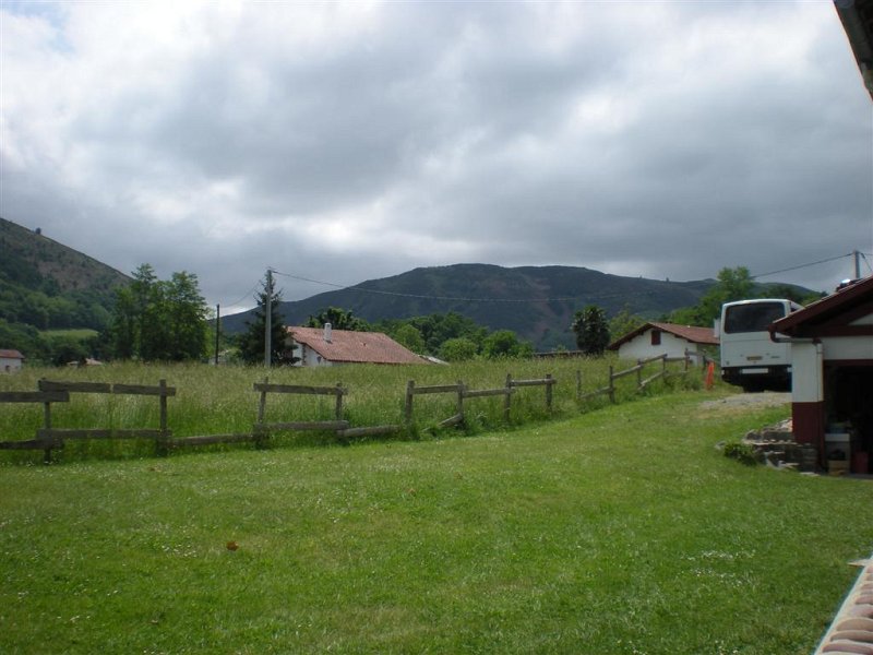 Original image